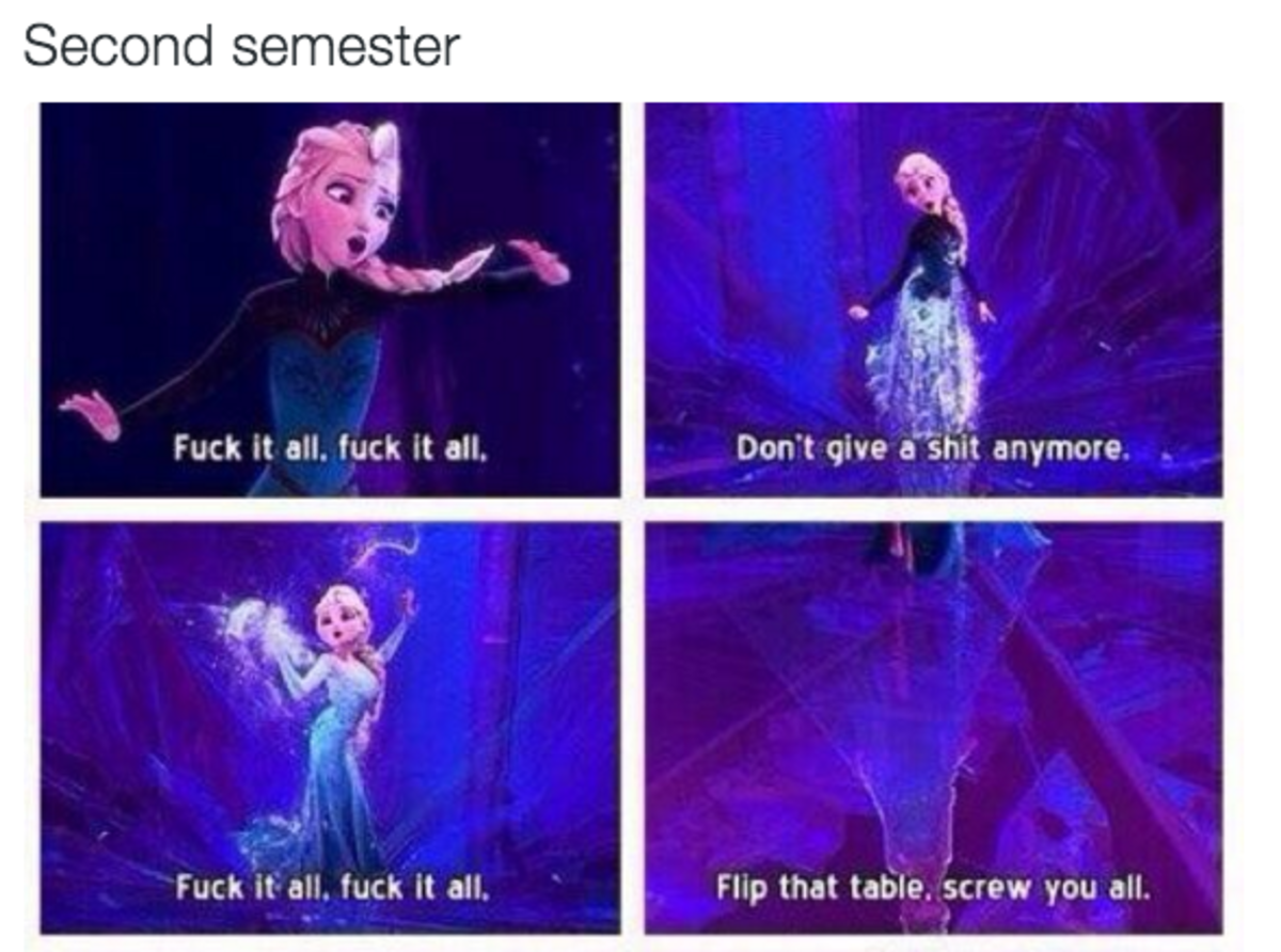 funny photos of how school is going 9.png