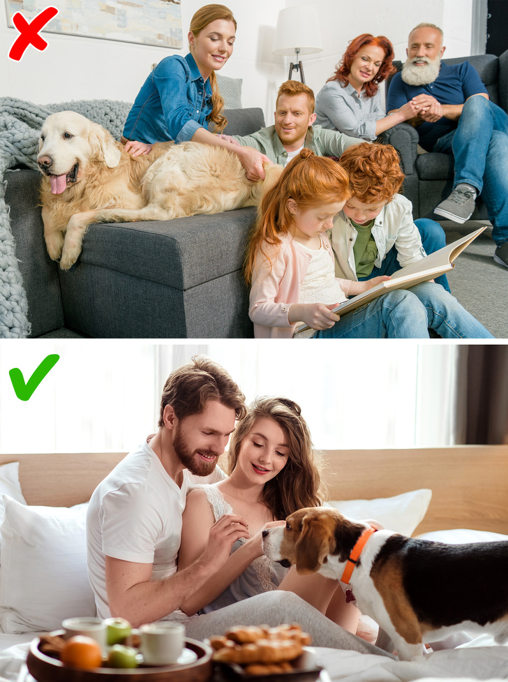 10 Consejos de personas que han aprendido todo sobre la remodelación