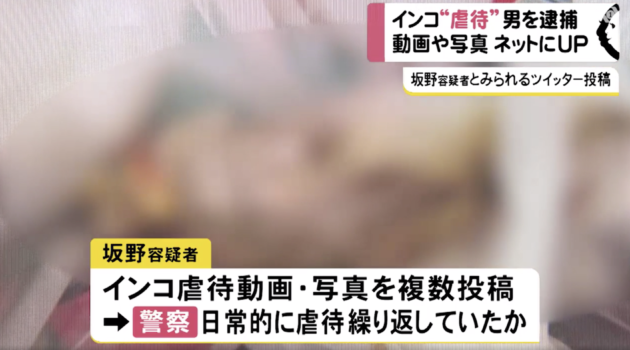 動画 インコ 虐待 インコ虐待で無職、坂野嘉彦容疑者（34）を逮捕