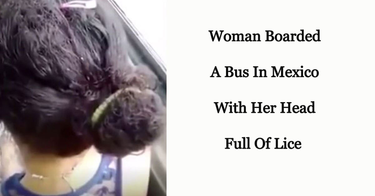 A Bus Passenger Shared A Video That Shows Lice Crawling On A Woman’s