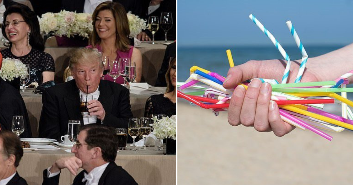 Trump Campaign Sold 10 Plastic Straws for 15 Because ‘Liberal Paper