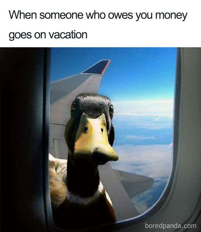 Funny-Travel-Memes Funny-Travel-Memes