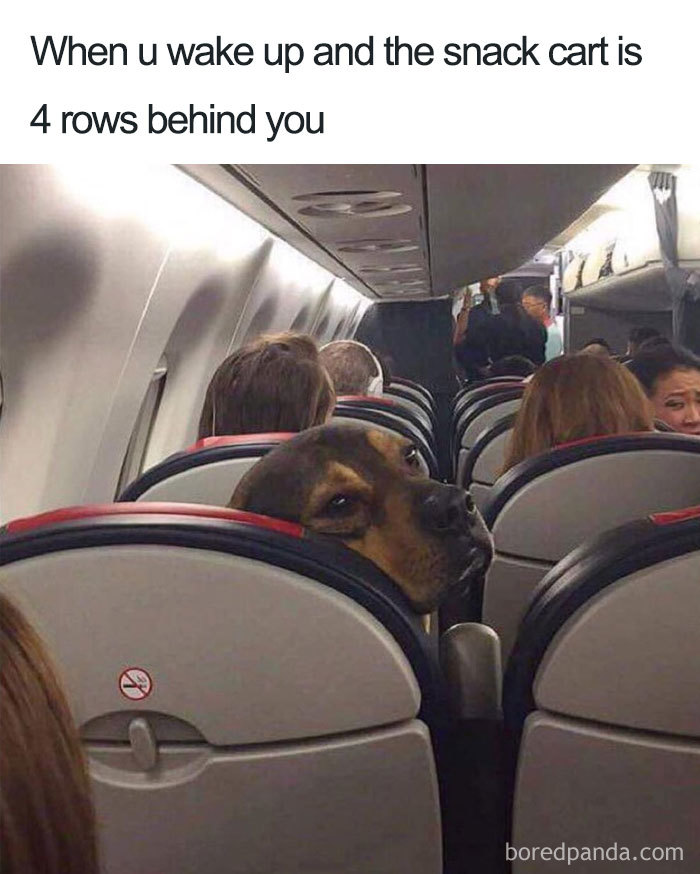 30 Hilarious Travel Memes That Will Get You Excited For The Next Trip
