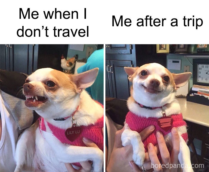 Funny-Travel-Memes Funny-Travel-Memes