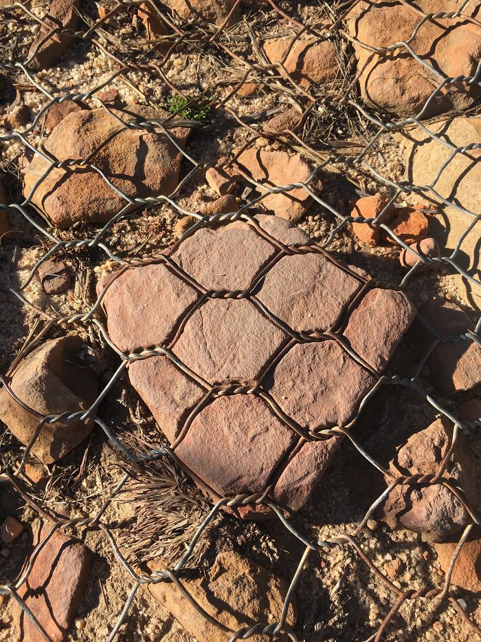 The Wire Has Worn Into This Rock After Years Of Hikers Walking Over It The Wire Has Worn Into This Rock After Years Of Hikers Walking Over It