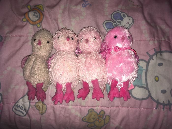 My Mom Bought The Same Stuffed Animal For My Sister In Case She Lost It. After 16 Years, We Found All Four Of Them My Mom Bought The Same Stuffed Animal For My Sister In Case She Lost It. After 16 Years, We Found All Four Of Them