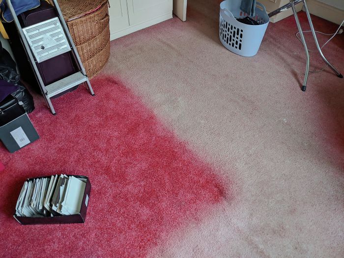 My Grandma's Carpet After Moving Her Bed For The First Time In 60 Years My Grandma