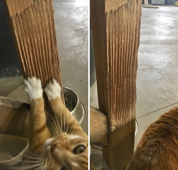 14 Years Of Scratches 14 Years Of Scratches