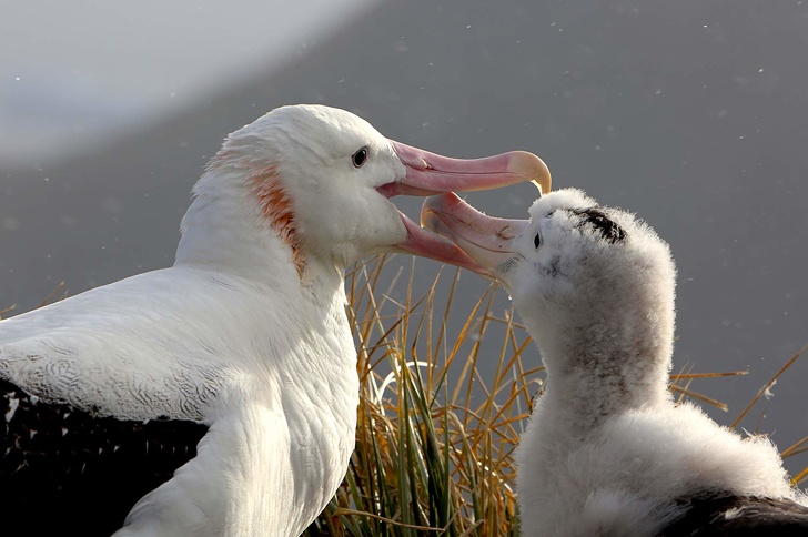 11 Series geniales de Netflix que quizás te hayas perdido