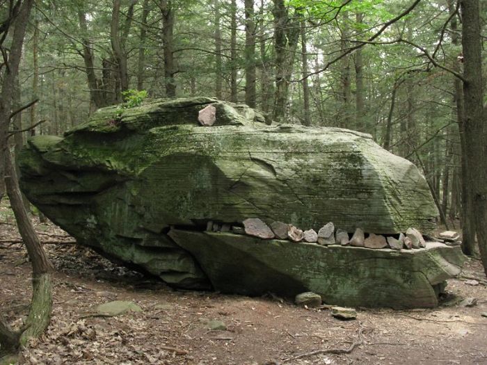 Buddy Of Mine Came Across This Dinosaur In The Woods The Other Day Buddy Of Mine Came Across This Dinosaur In The Woods The Other Day