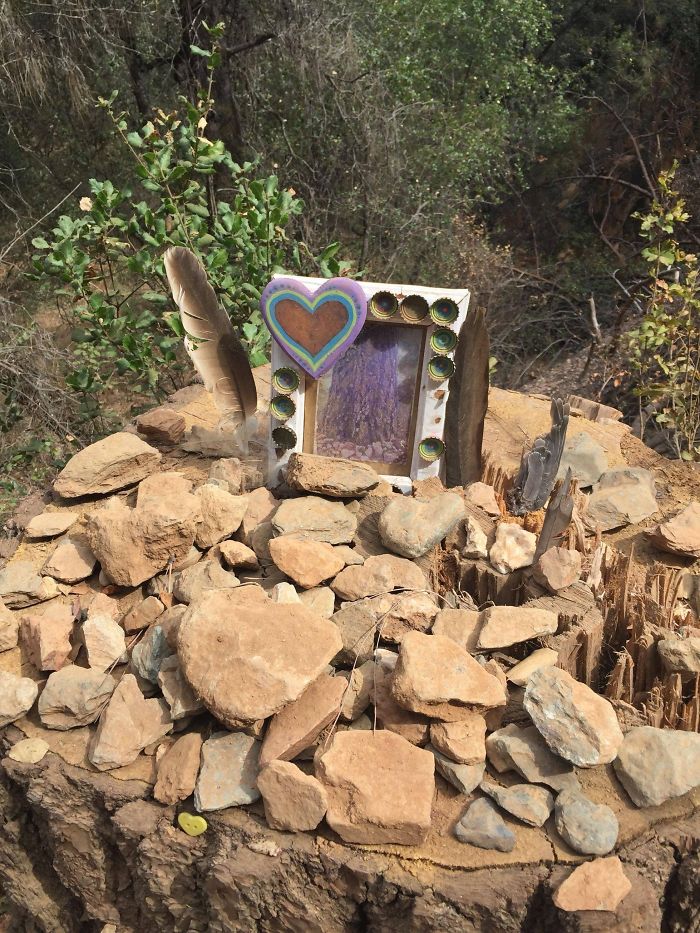 I Found A Memorial For A Fallen Tree While Hiking I Found A Memorial For A Fallen Tree While Hiking