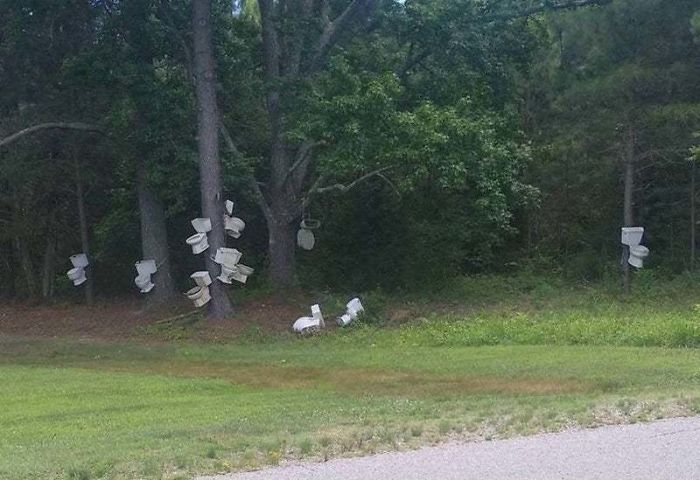 *shhh* It's A Flock Of Wild Toilets Roosting *shhh* It