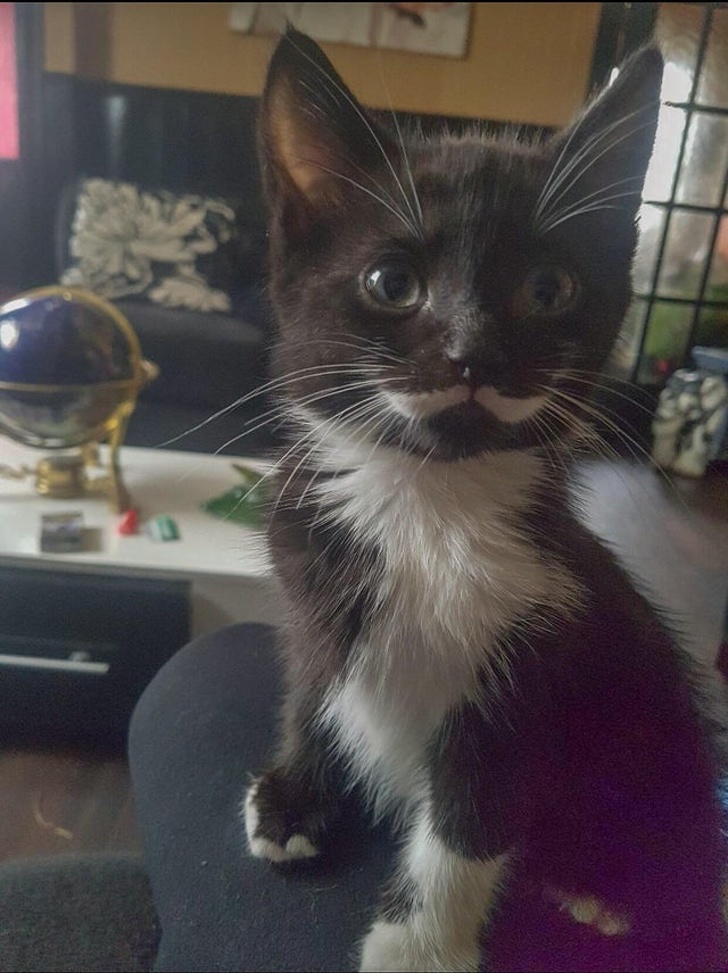 20 Times the Universe Invented Coincidences That Just Made Us Go “Wow”