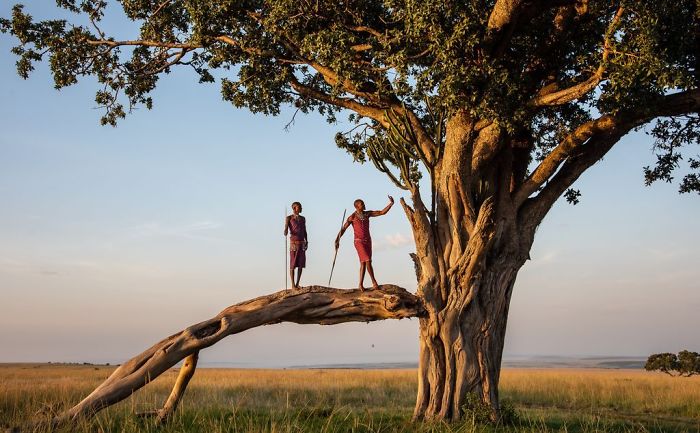 Caught In The Act, Michelle Theall, Nature Caught In The Act, Michelle Theall, Nature