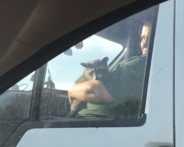 Driving Along The Motorway And Get Overtaken By Driving Along The Motorway And Get Overtaken By