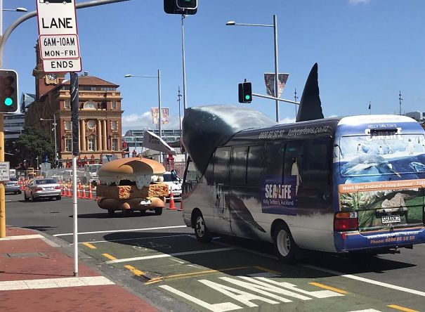 A Shark Bus Chasing A Fillet ‘O Fish In Auckland A Shark Bus Chasing A Fillet ‘O Fish In Auckland
