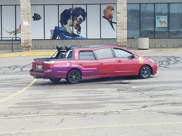 Found This Beauty Today Found This Beauty Today