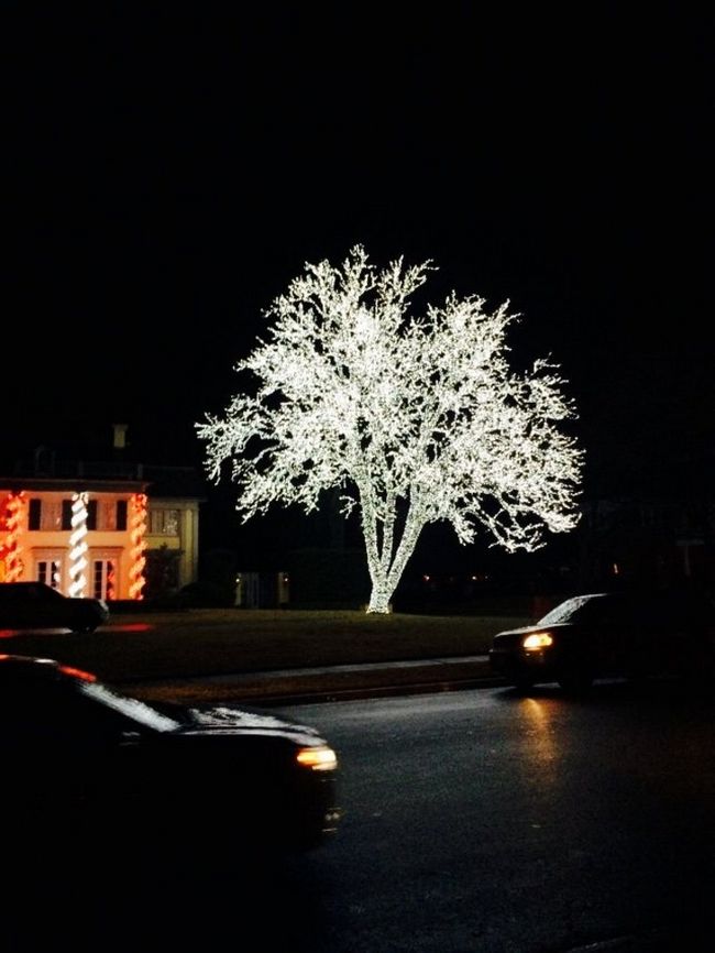 pessoas-criativas-enfeitar-natal-9