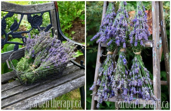 ideias-para-o-jardim-24