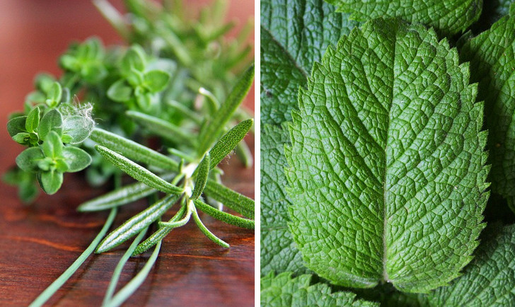 15 Maneras de deshacerse del olor desagradable de los zapatos rápidamente