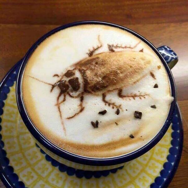 This Cockroach Cappuccino This Cockroach Cappuccino