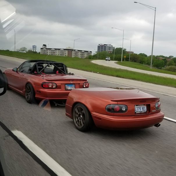 When You Like Your Trunk So Much You Get A Second One When You Like Your Trunk So Much You Get A Second One