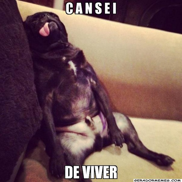 coisas-morar-com-pais-15