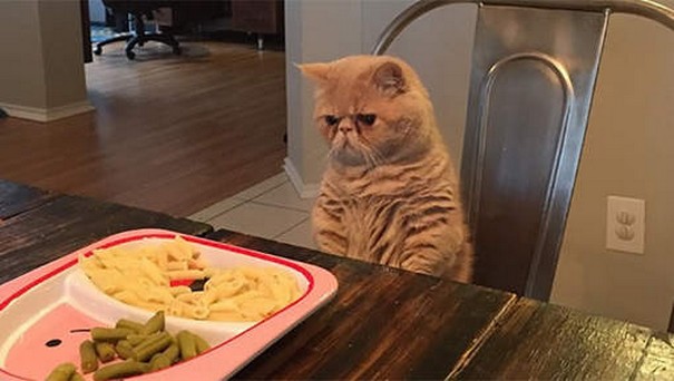 coisas-morar-com-pais-2