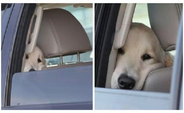 coisas-morar-com-pais-5