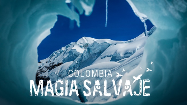 10 Documentales que cambiarán tu manera de ver el mundo