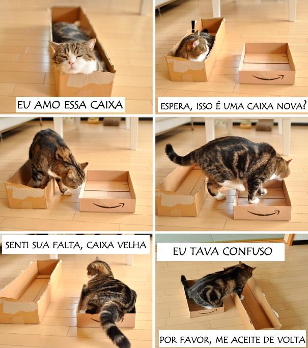 logica-dos-gatos-013