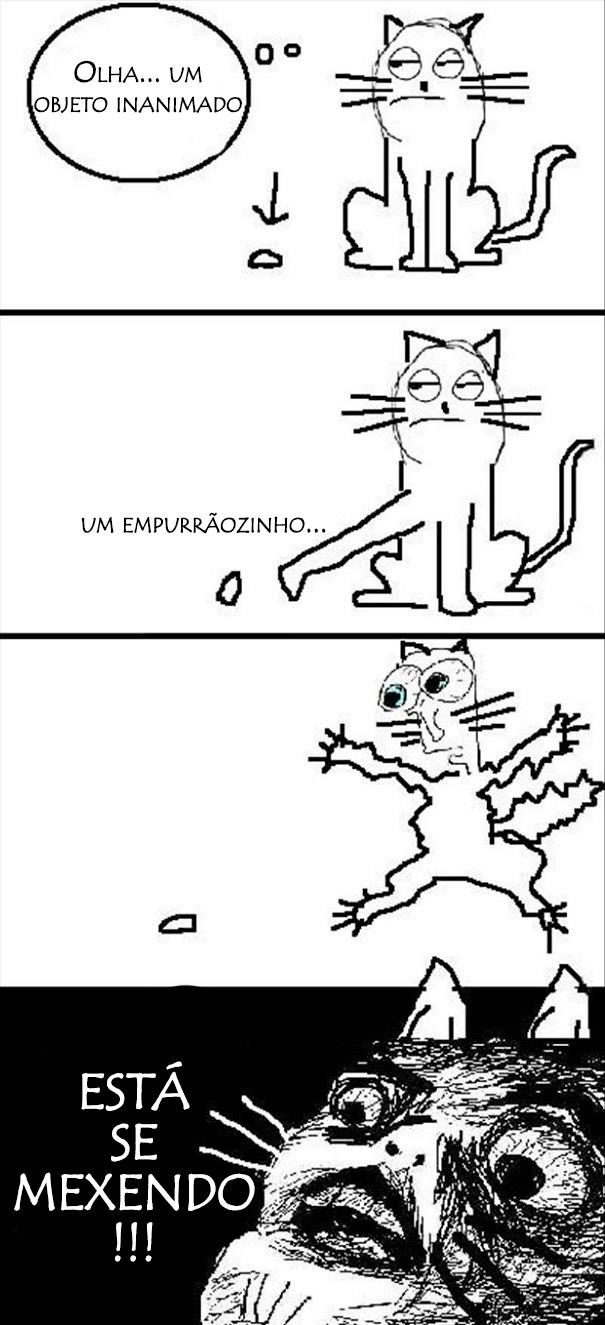 logica-dos-gatos-017