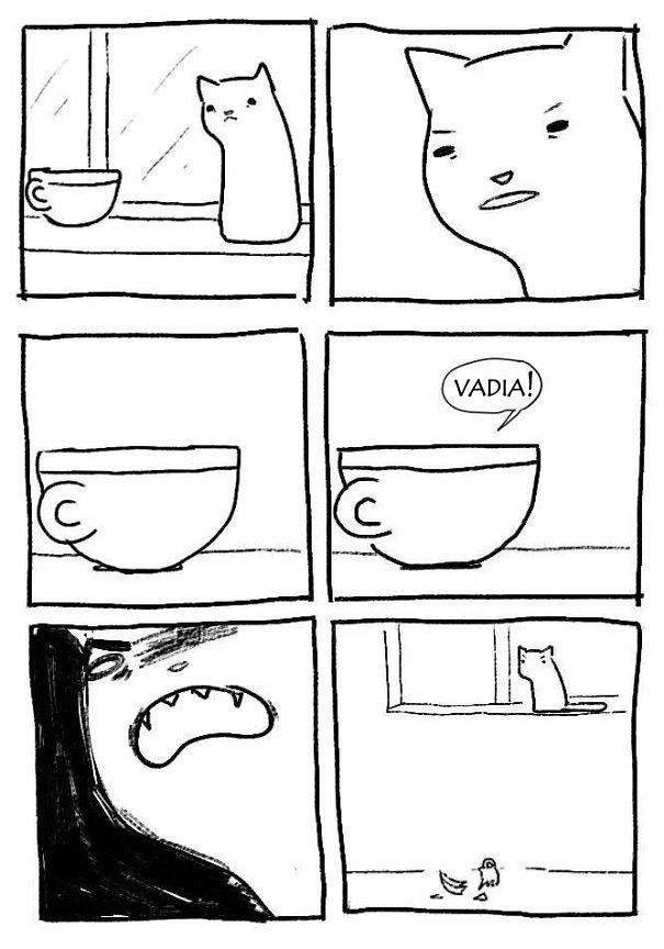 logica-dos-gatos-020