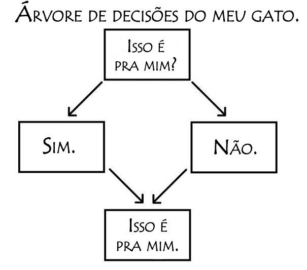 logica-dos-gatos-10