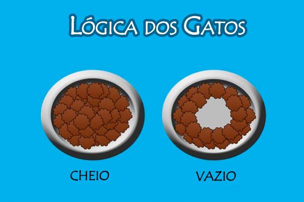 logica-dos-gatos-3