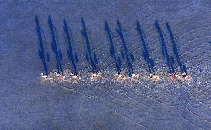 Second Prize Winner In Fun Category, "Burden Salt Harvest" Second Prize Winner In Fun Category, "Burden Salt Harvest"