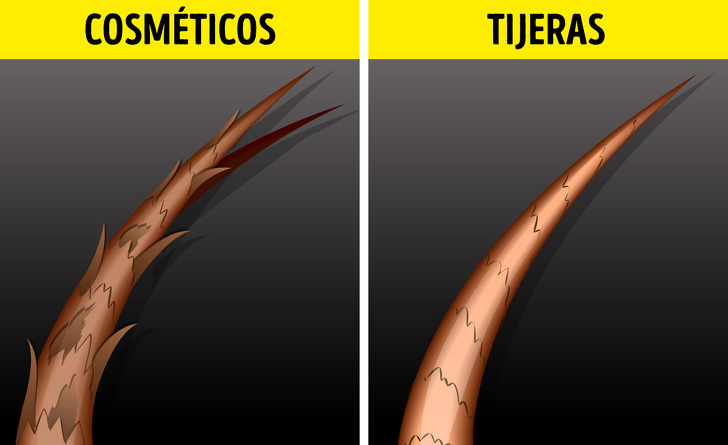 10 Artículos cosméticos en los cuales gastas dinero en vano