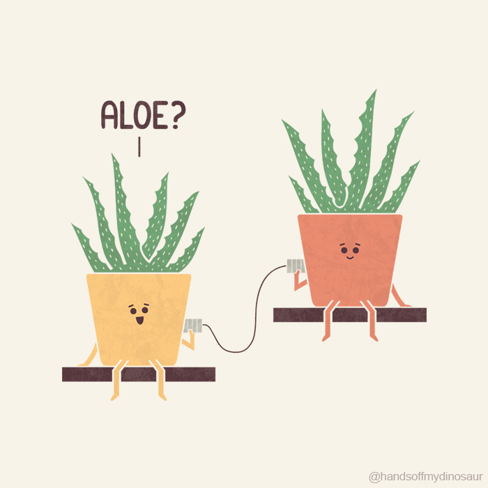Aloe, Vera? Aloe, Vera?