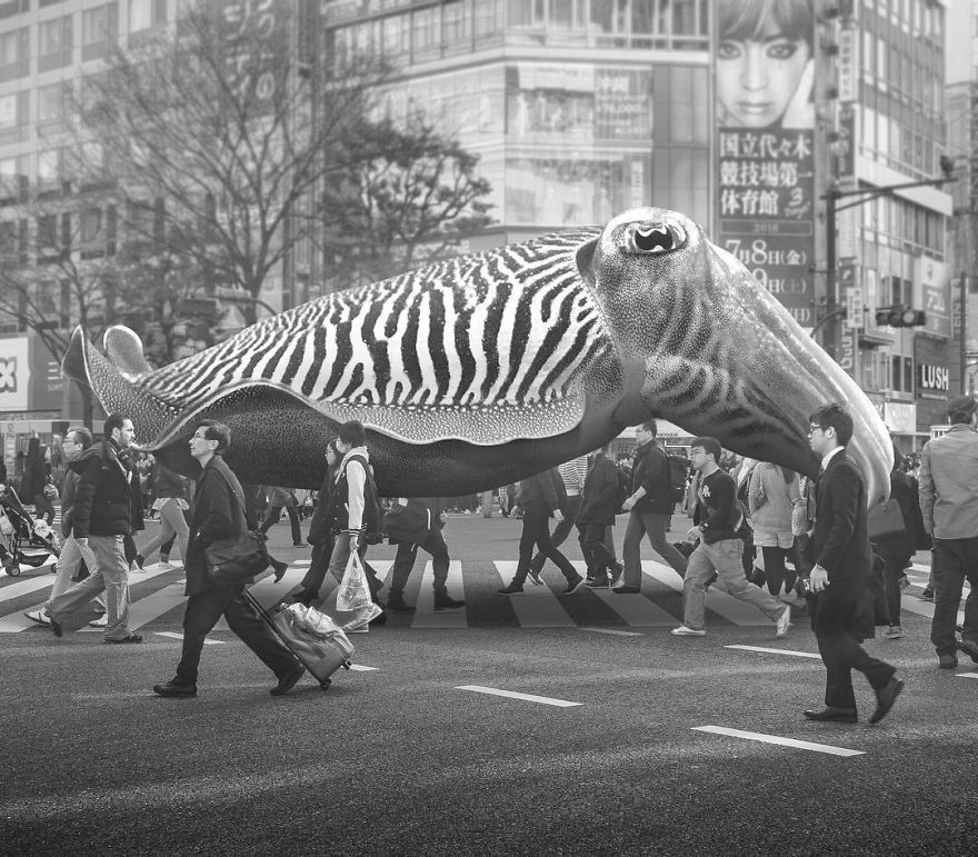 Artist Challenges Logic And Stimulates Creativity With Its Incredible Digital Manipulations Artist Challenges Logic And Stimulates Creativity With Its Incredible Digital Manipulations