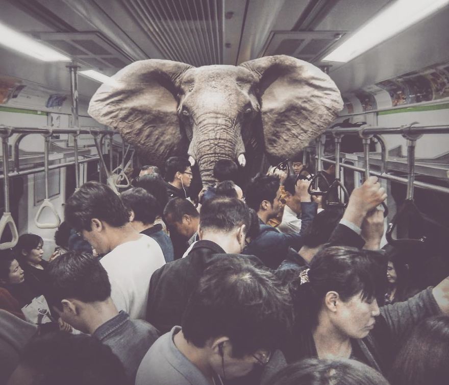 Artist Challenges Logic And Stimulates Creativity With Its Incredible Digital Manipulations Artist Challenges Logic And Stimulates Creativity With Its Incredible Digital Manipulations