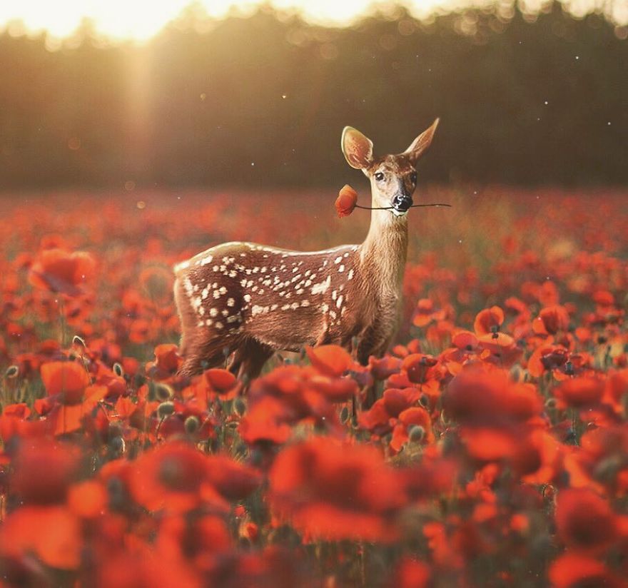 Artist Challenges Logic And Stimulates Creativity With Its Incredible Digital Manipulations Artist Challenges Logic And Stimulates Creativity With Its Incredible Digital Manipulations