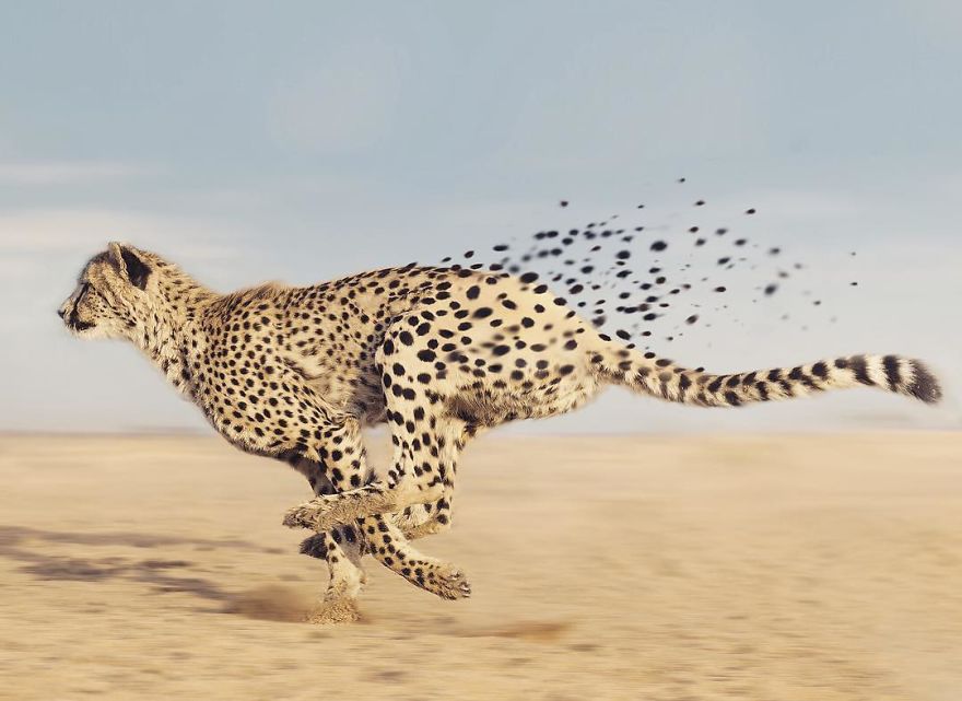 Artist Challenges Logic And Stimulates Creativity With Its Incredible Digital Manipulations Artist Challenges Logic And Stimulates Creativity With Its Incredible Digital Manipulations