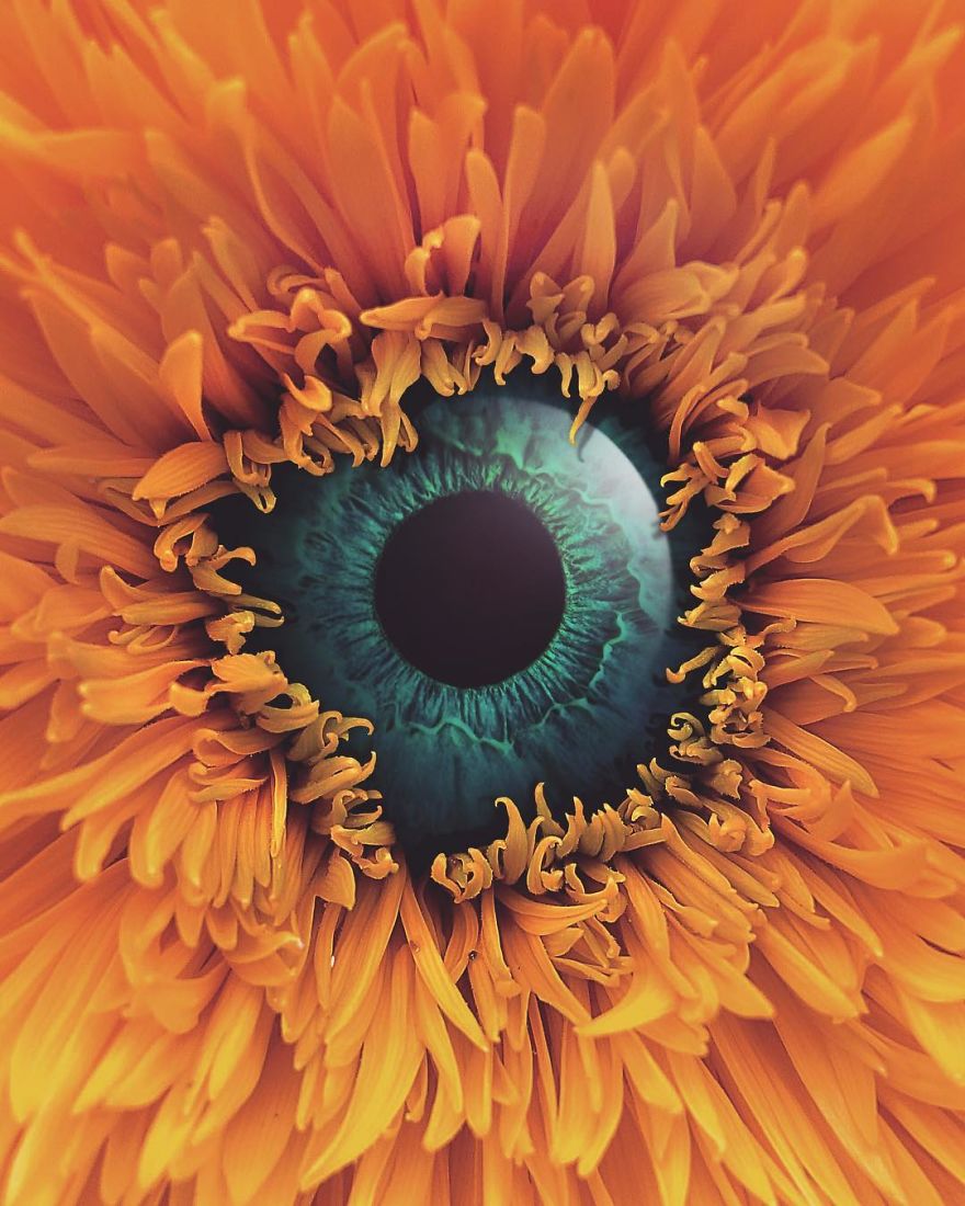 Artist Challenges Logic And Stimulates Creativity With Its Incredible Digital Manipulations Artist Challenges Logic And Stimulates Creativity With Its Incredible Digital Manipulations