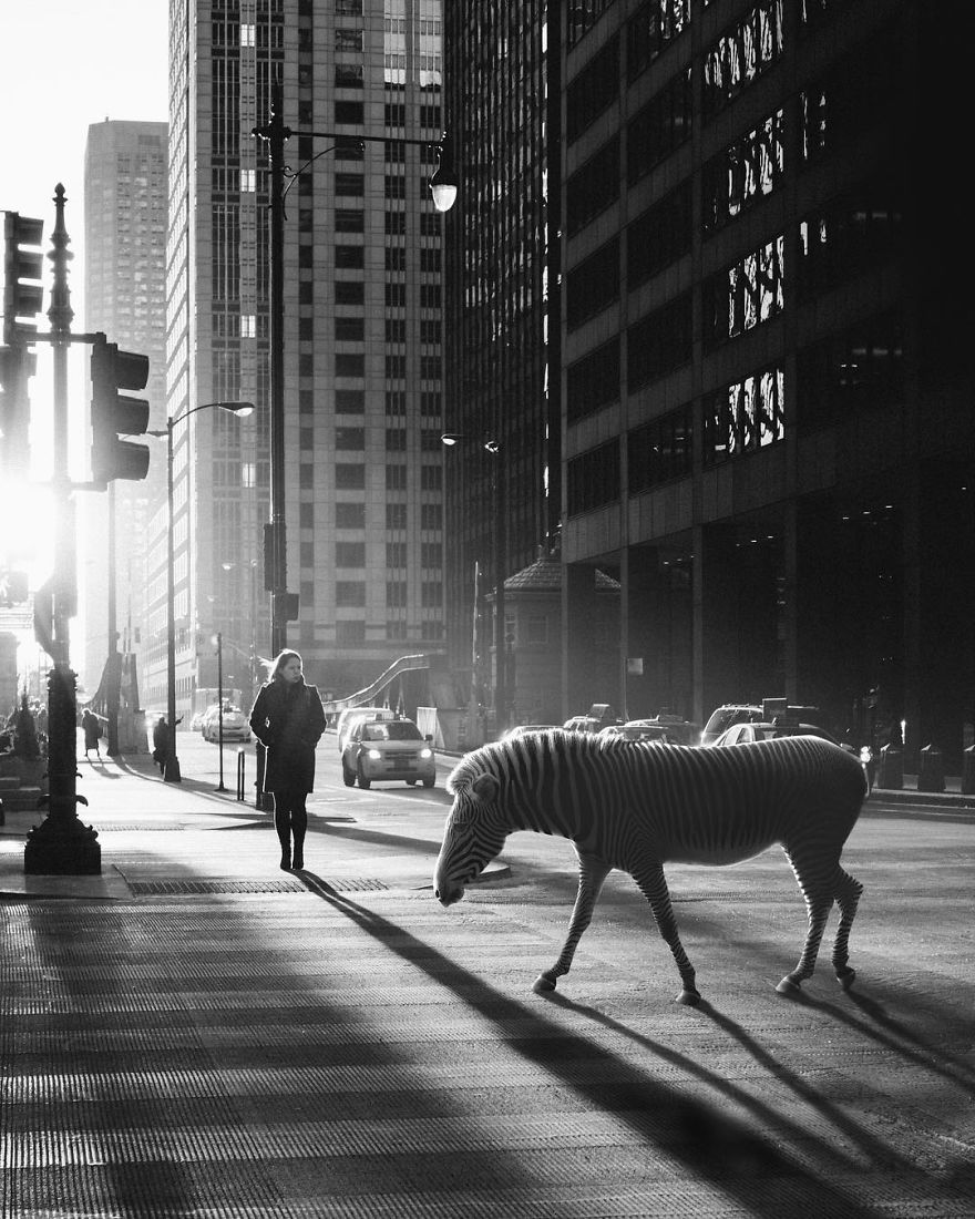 Artist Challenges Logic And Stimulates Creativity With Its Incredible Digital Manipulations Artist Challenges Logic And Stimulates Creativity With Its Incredible Digital Manipulations