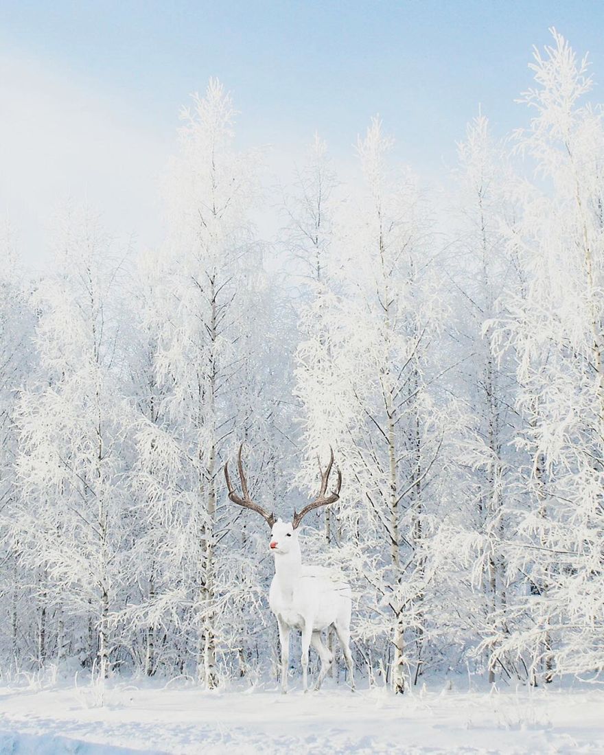 Artist Challenges Logic And Stimulates Creativity With Its Incredible Digital Manipulations Artist Challenges Logic And Stimulates Creativity With Its Incredible Digital Manipulations