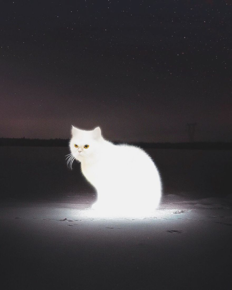 Artist Challenges Logic And Stimulates Creativity With Its Incredible Digital Manipulations Artist Challenges Logic And Stimulates Creativity With Its Incredible Digital Manipulations