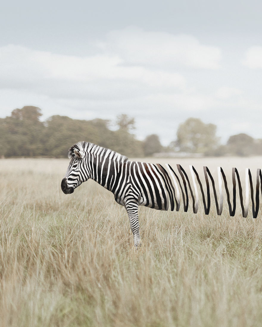 Artist Challenges Logic And Stimulates Creativity With Its Incredible Digital Manipulations Artist Challenges Logic And Stimulates Creativity With Its Incredible Digital Manipulations