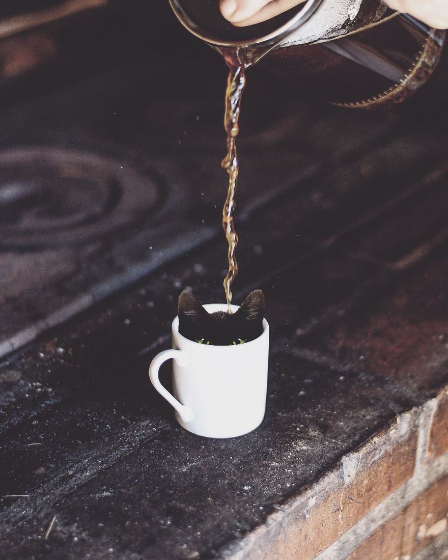 Artist Challenges Logic And Stimulates Creativity With Its Incredible Digital Manipulations Artist Challenges Logic And Stimulates Creativity With Its Incredible Digital Manipulations