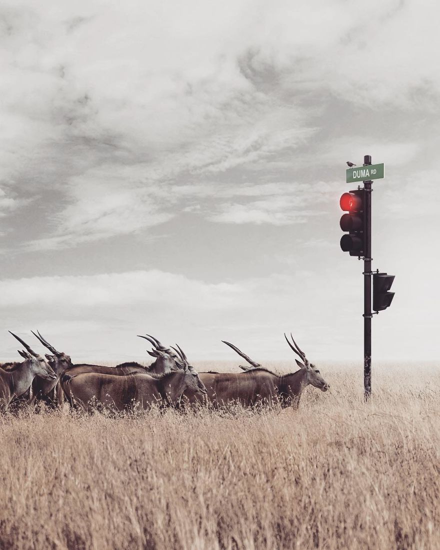 Artist Challenges Logic And Stimulates Creativity With Its Incredible Digital Manipulations Artist Challenges Logic And Stimulates Creativity With Its Incredible Digital Manipulations