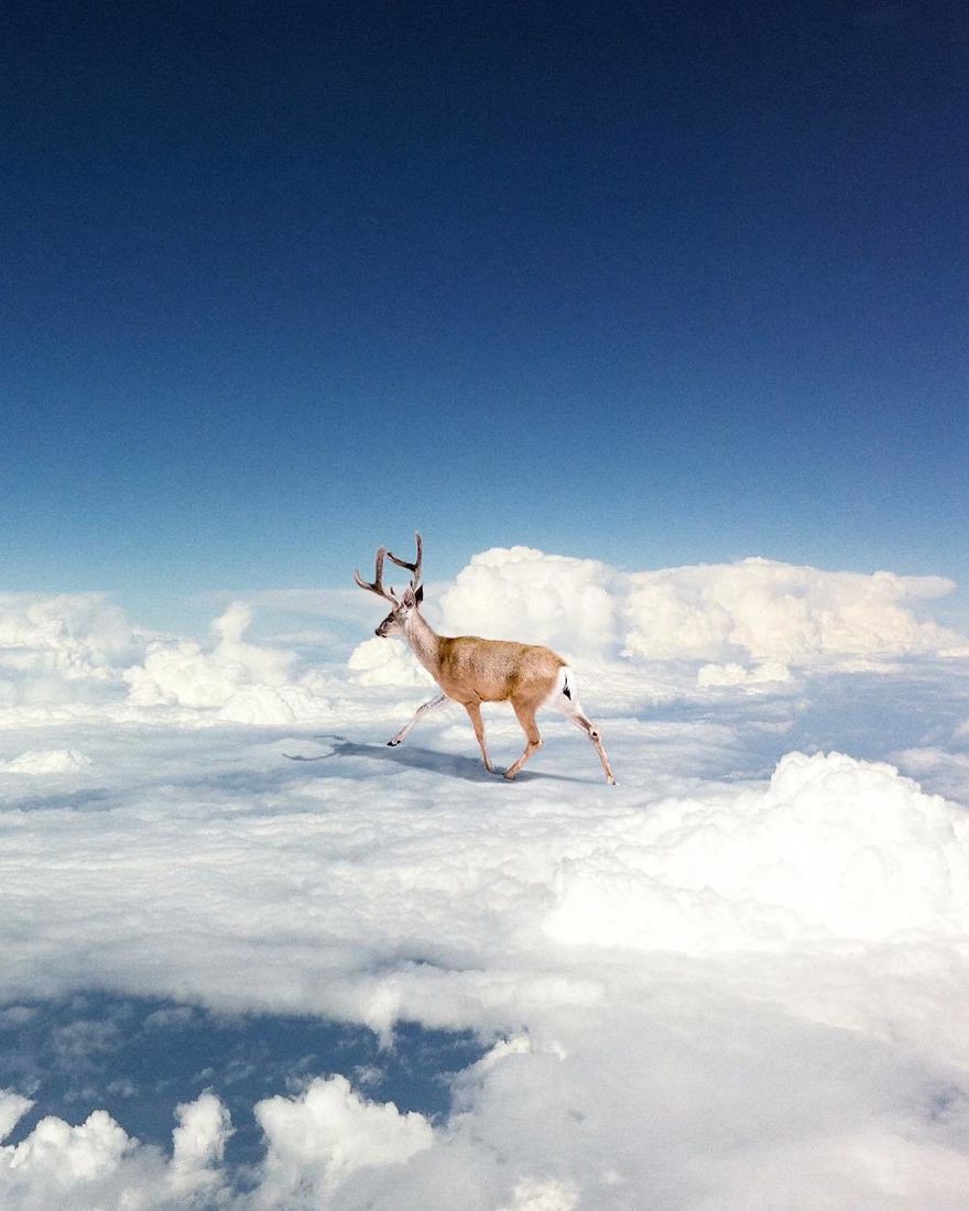 Artist Challenges Logic And Stimulates Creativity With Its Incredible Digital Manipulations Artist Challenges Logic And Stimulates Creativity With Its Incredible Digital Manipulations